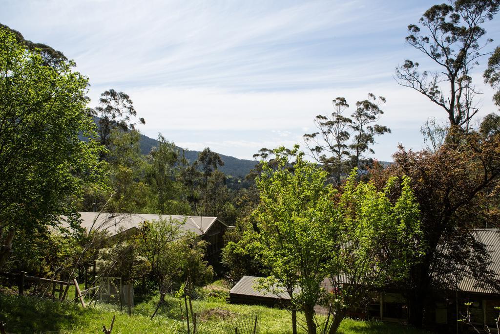 Buttercup Hill Bed & Breakfast Warburton Room photo
