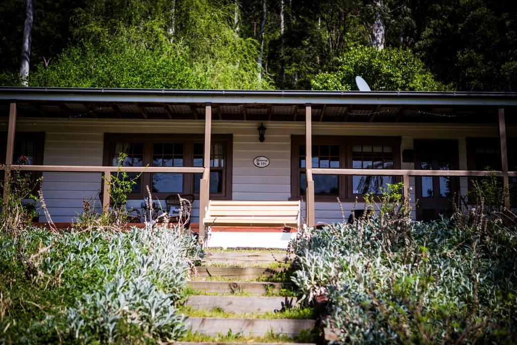 Buttercup Hill Bed & Breakfast Warburton Exterior photo